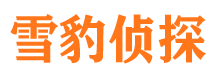 南宁私家侦探公司